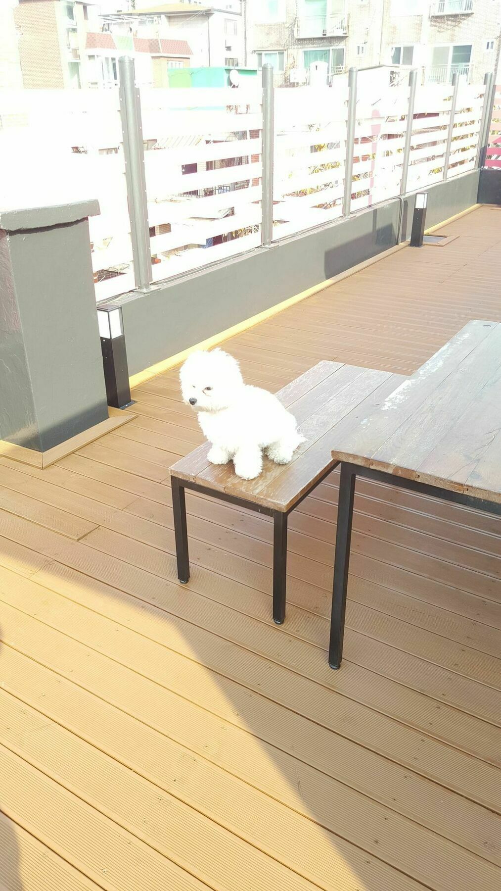 Amazon Guesthouse Seoul Exterior foto