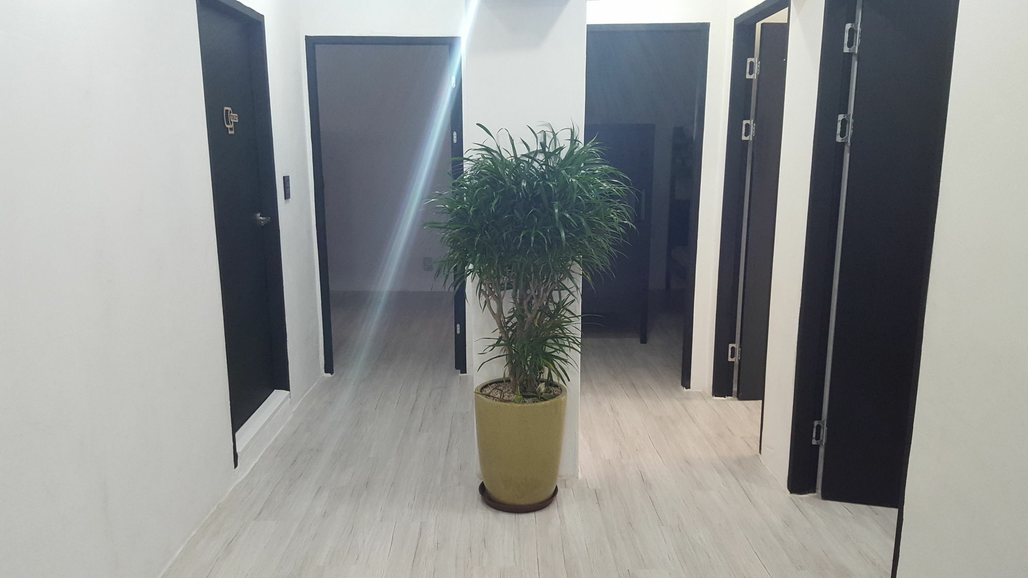 Amazon Guesthouse Seoul Exterior foto